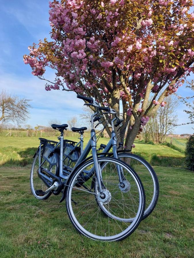 Bed & Bike Op Texel Bed & Breakfast Den Burg Exterior photo